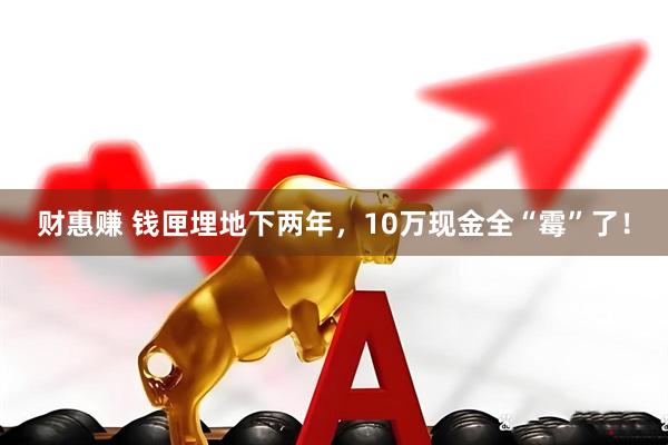 财惠赚 钱匣埋地下两年，10万现金全“霉”了！