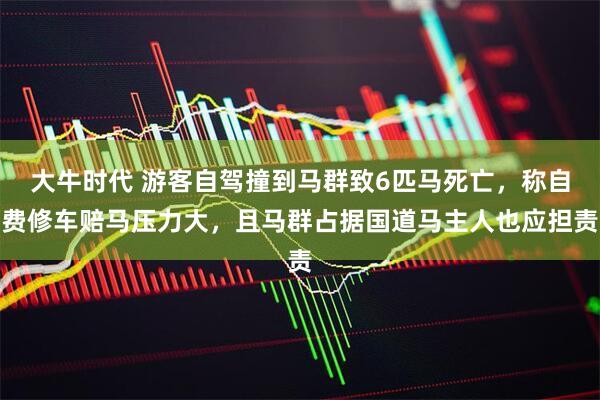 大牛时代 游客自驾撞到马群致6匹马死亡，称自费修车赔马压力大，且马群占据国道马主人也应担责