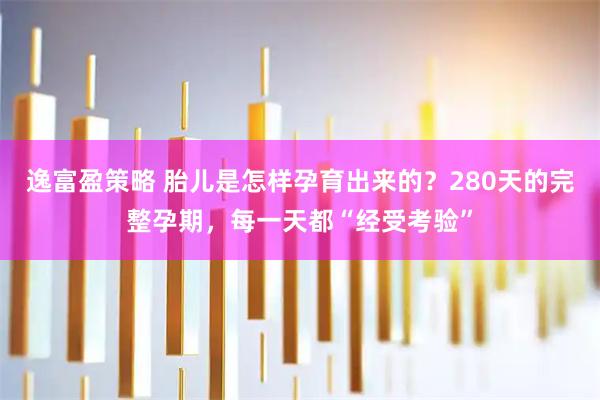 逸富盈策略 胎儿是怎样孕育出来的？280天的完整孕期，每一天都“经受考验”