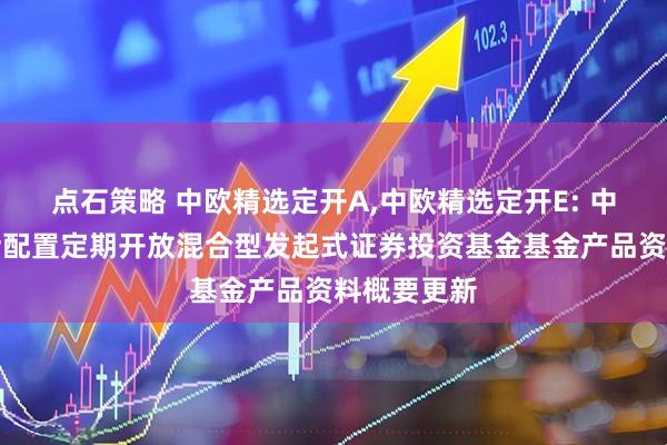 点石策略 中欧精选定开A,中欧精选定开E: 中欧精选灵活配置定期开放混合型发起式证券投资基金基金产品资料概要更新