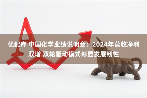 优配库 中国化学业绩说明会：2024年营收净利双增 双轮驱动模式彰显发展韧性