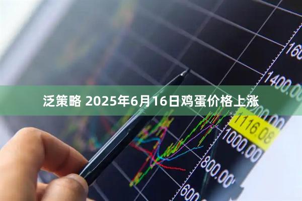 泛策略 2025年6月16日鸡蛋价格上涨