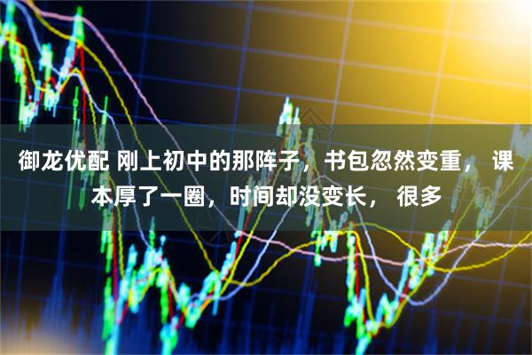 御龙优配 刚上初中的那阵子，书包忽然变重， 课本厚了一圈，时间却没变长， 很多