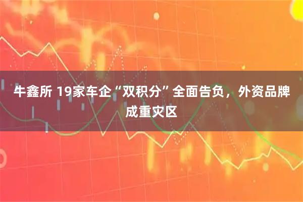 牛鑫所 19家车企“双积分”全面告负,外资品牌成重灾区