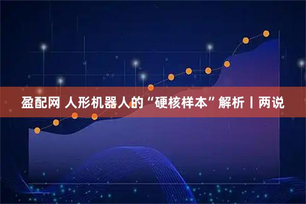 盈配网 人形机器人的“硬核样本”解析丨两说